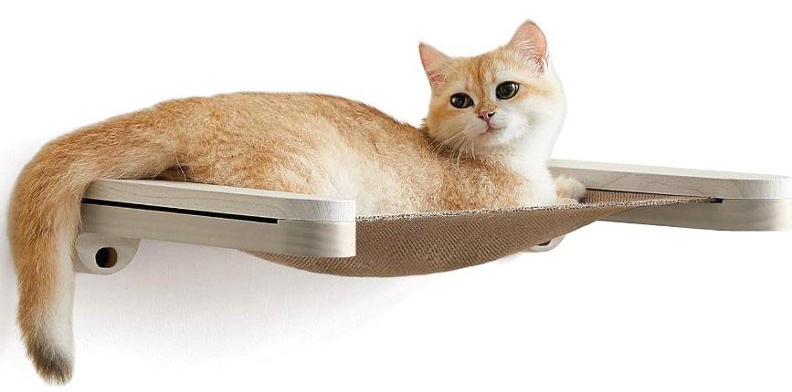 cat wall bed