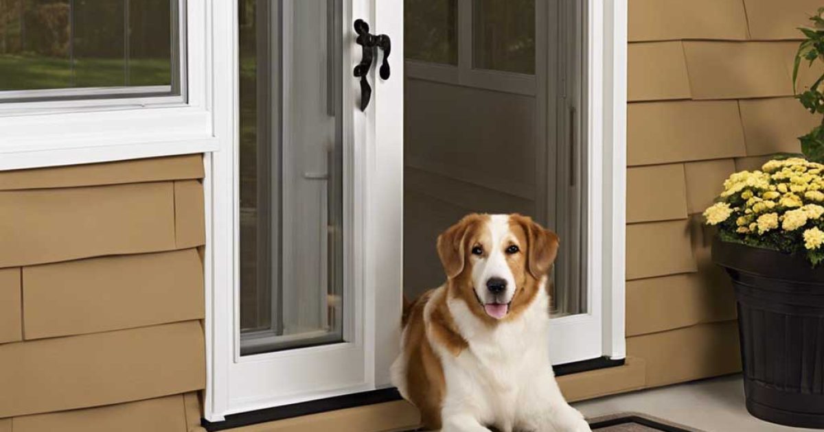 screen doors with dog doors